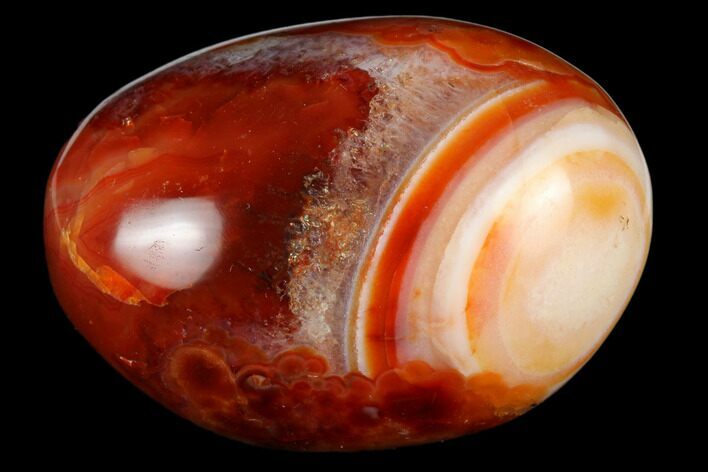 Colorful, Polished Carnelian Agate Palm Stone - Madagascar #185772